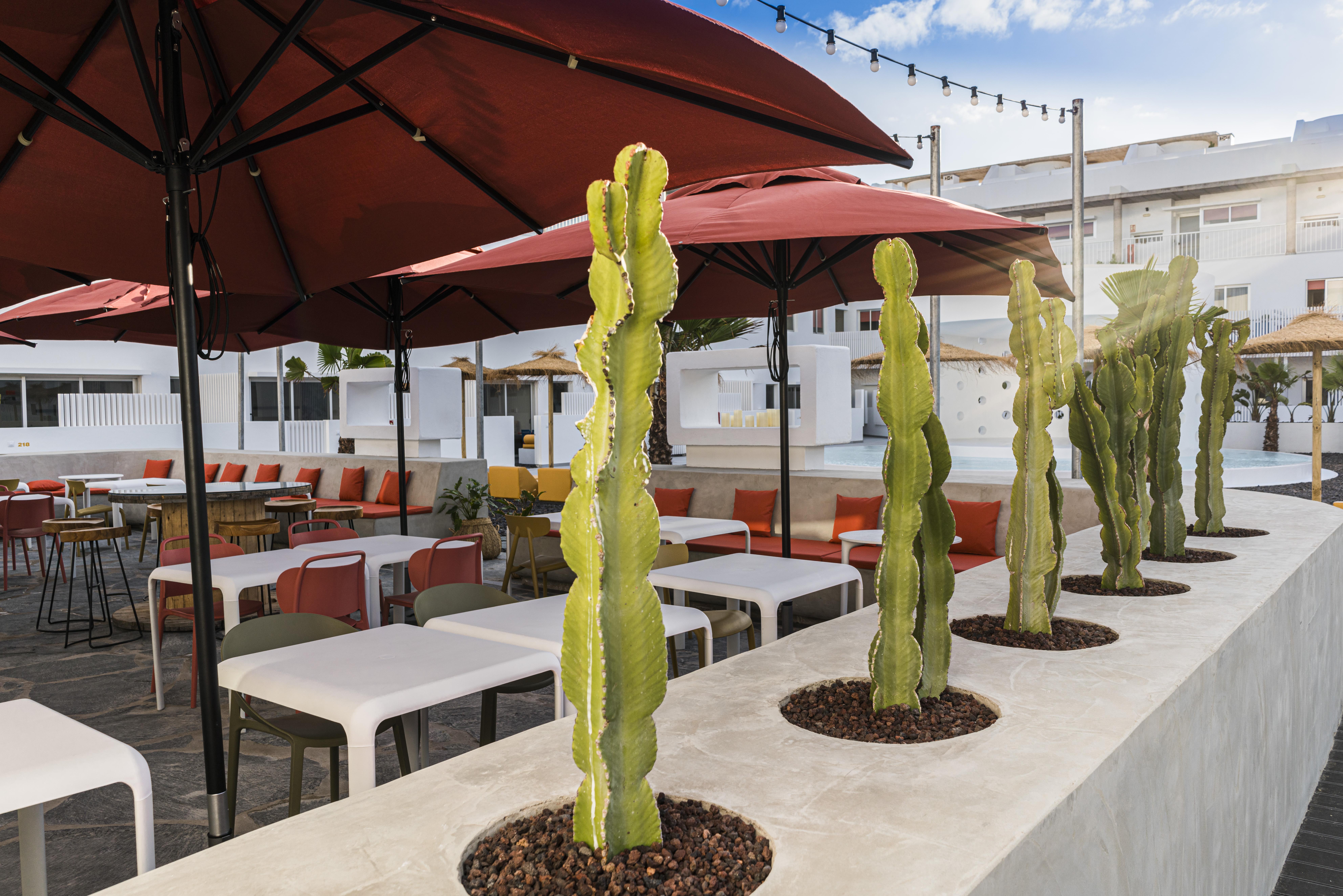 Buendia Nohotel Corralejo